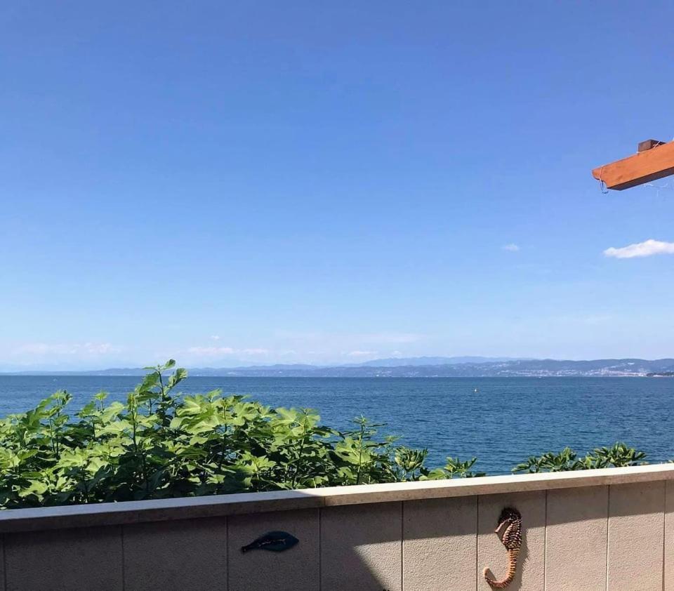 Apartmaji Pri Bosi Nogi